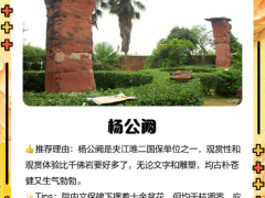 杨公阙